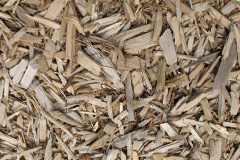 biomass boilers Charltonbrook